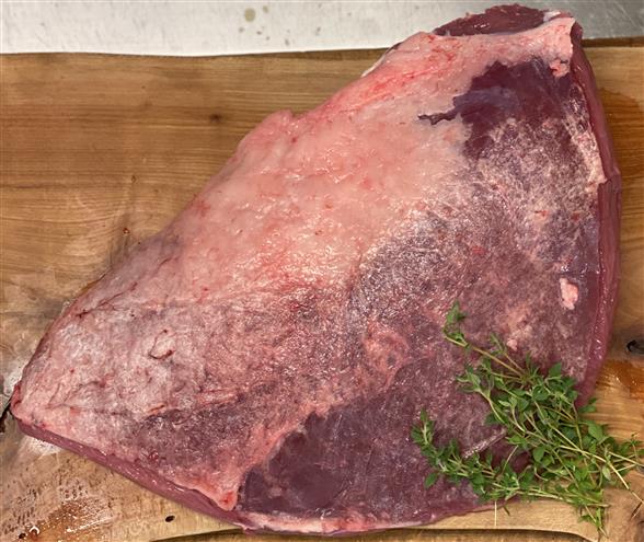 Gistrup limousine Culotte steg