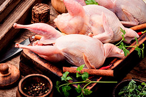 Grydestegte vagtler med kantareller